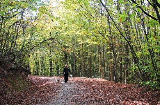 Polonezkoy Tabiat Parki